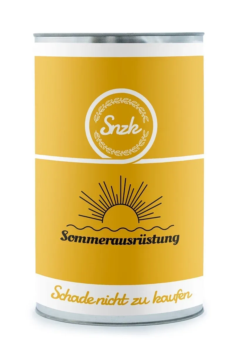 Gift summer set with bus C734/B731