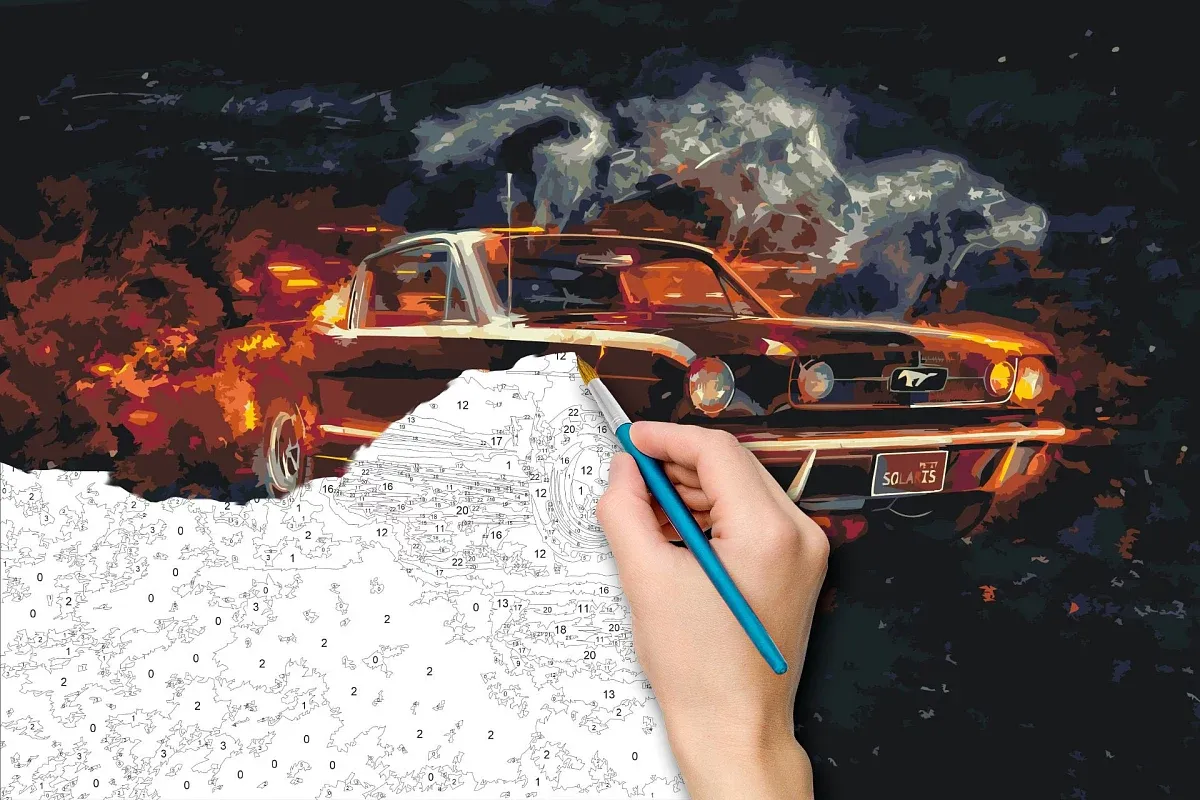Paint by numbers - picture of a veteran Mustang